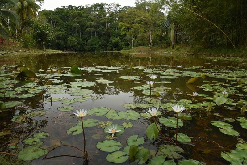 La Laguna del Lagarto Lodge