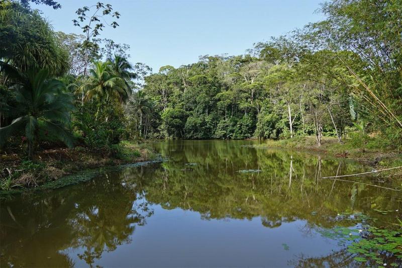 La Laguna del Lagarto Lodge