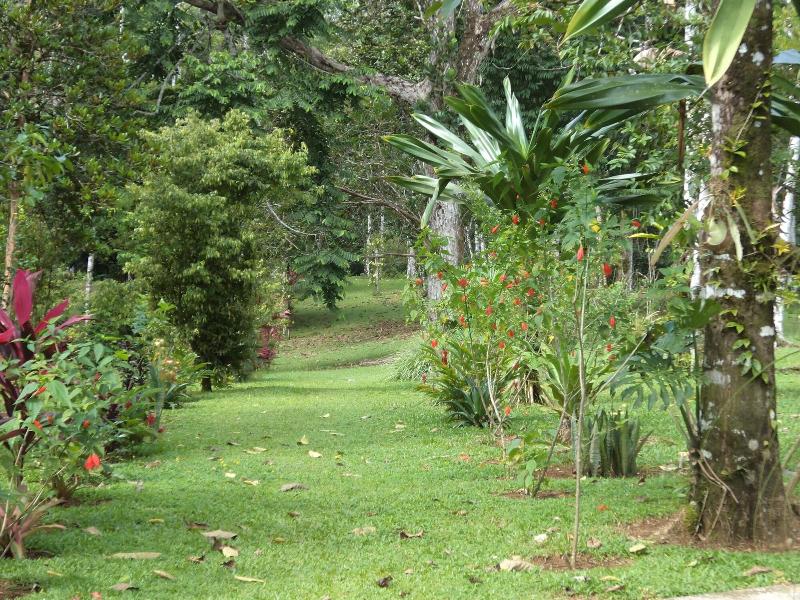 La Laguna del Lagarto Lodge