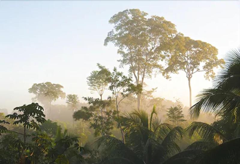 La Laguna del Lagarto Lodge