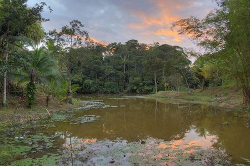 La Laguna del Lagarto Lodge