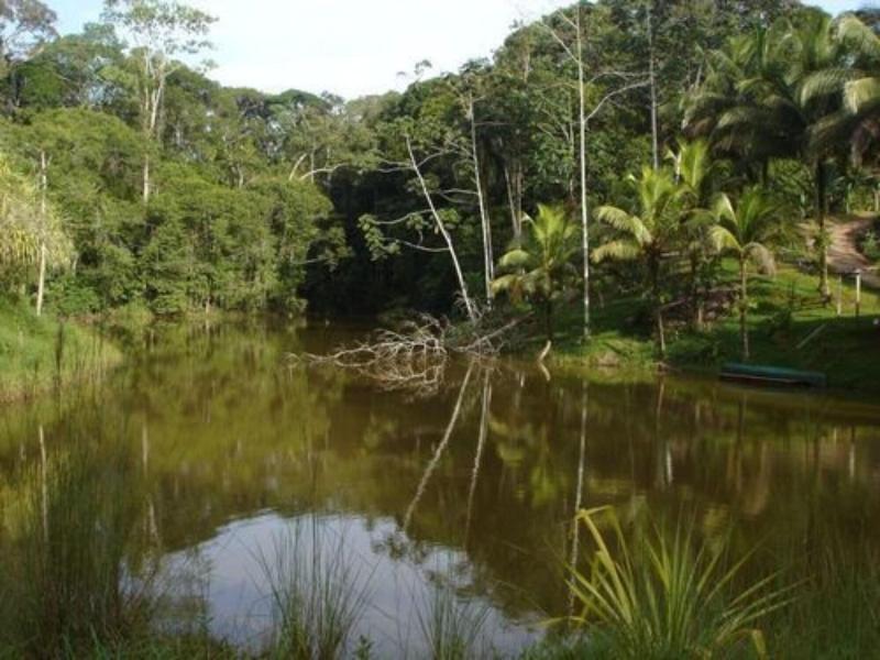 La Laguna del Lagarto Lodge