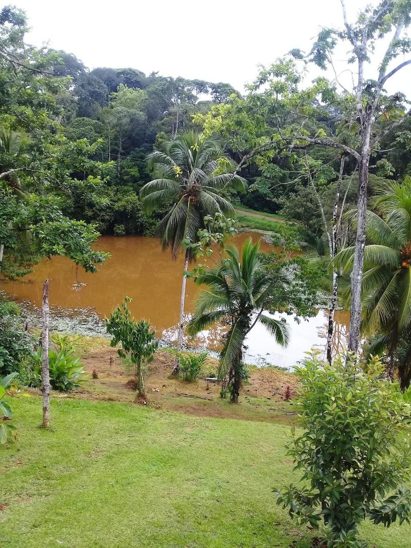 La Laguna del Lagarto Lodge