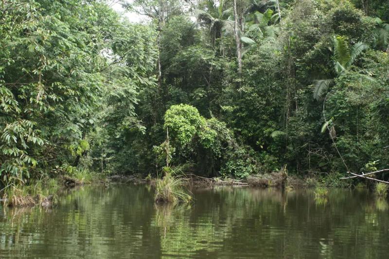 La Laguna del Lagarto Lodge