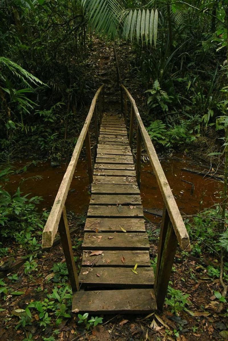 La Laguna del Lagarto Lodge