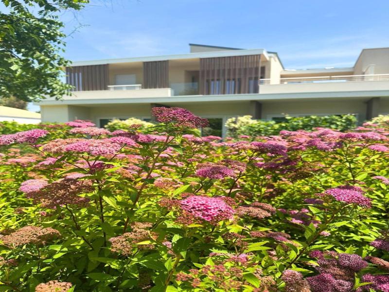 Seapark Spa Resort image