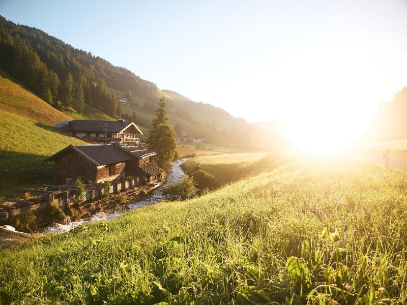 Almis Berghotel image
