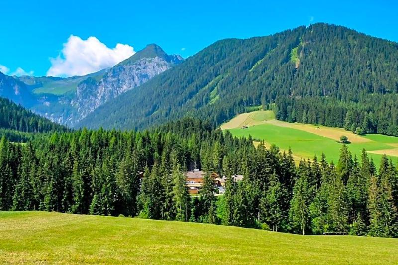 Waldruhe image