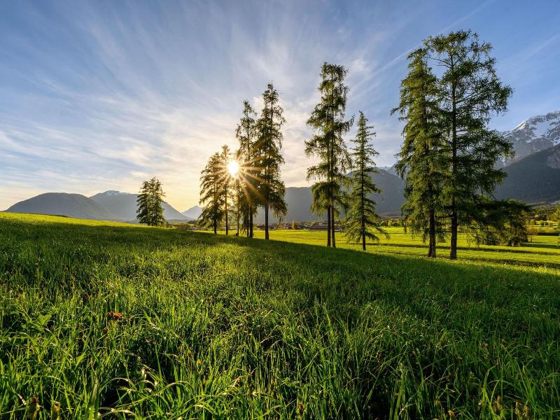 Rietzer Hof image