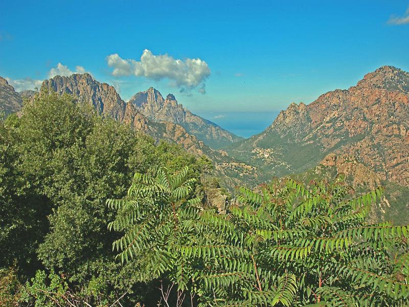 Castel Vergio image