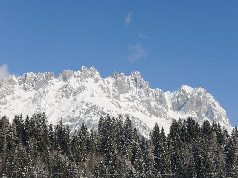Blattlhof image
