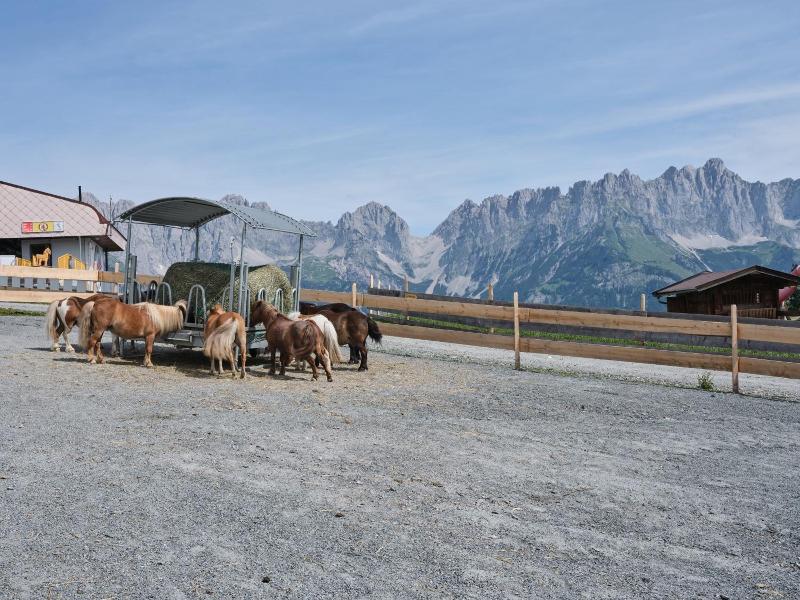 Blattlhof image