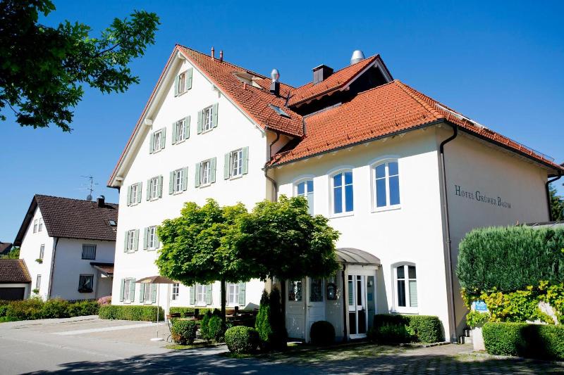 Grüner Baum image