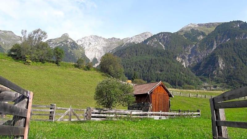 Schwarzer Adler image