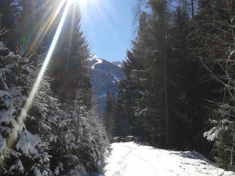 Felsenhof image