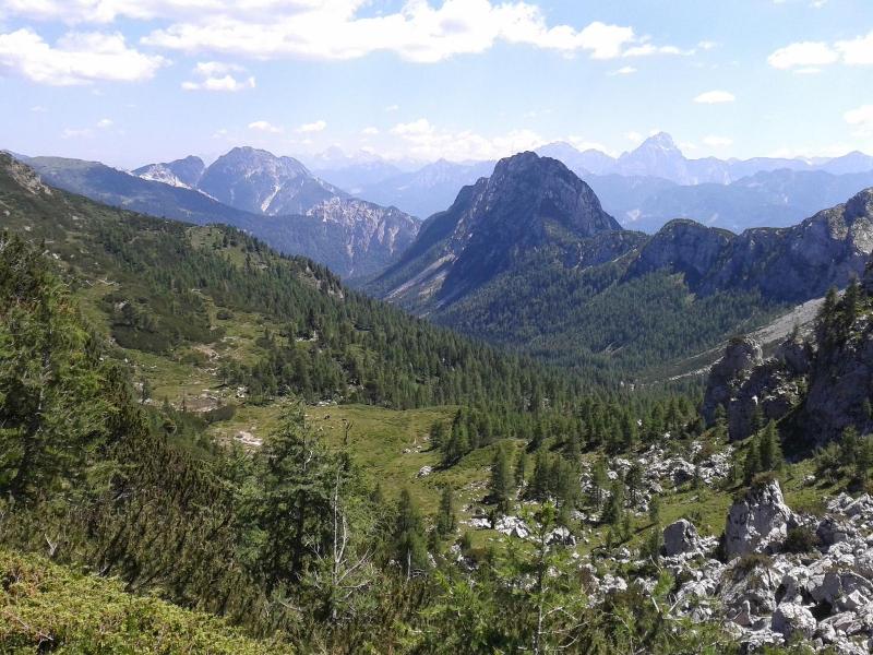 Alpenhotel Marcius image