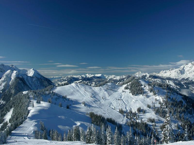 Stöcklwirt image