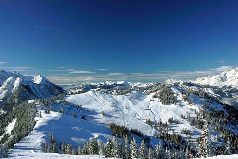 Stöcklwirt image