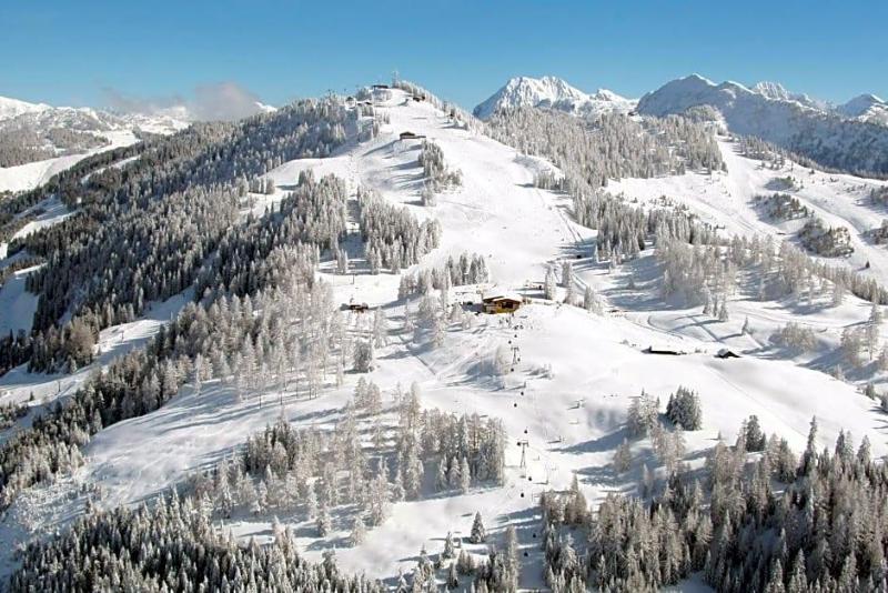 Stöcklwirt image