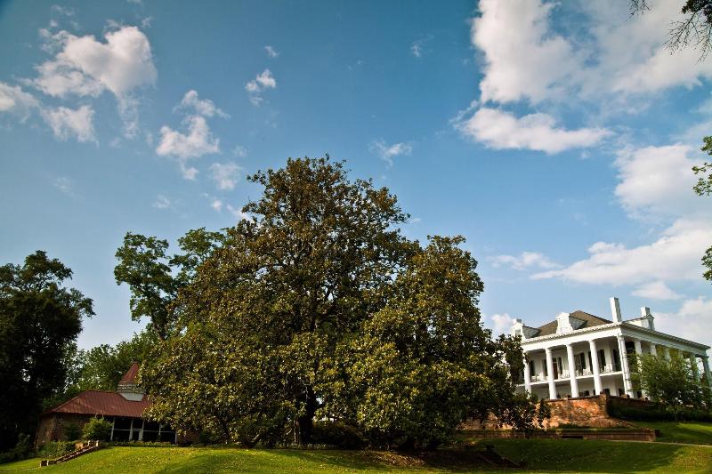 Dunleith Plantation image