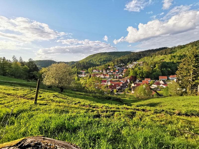 Pension Jägerstieg image