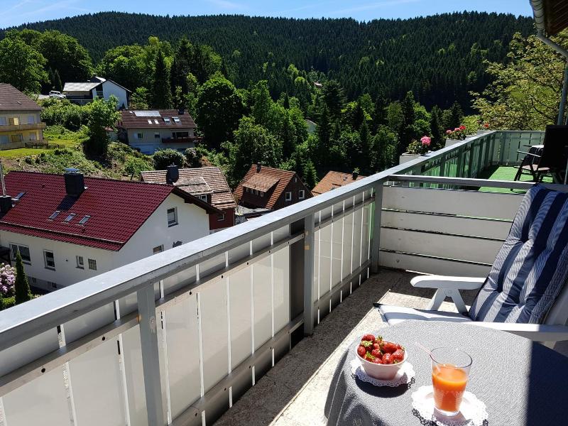 Pension Jägerstieg image