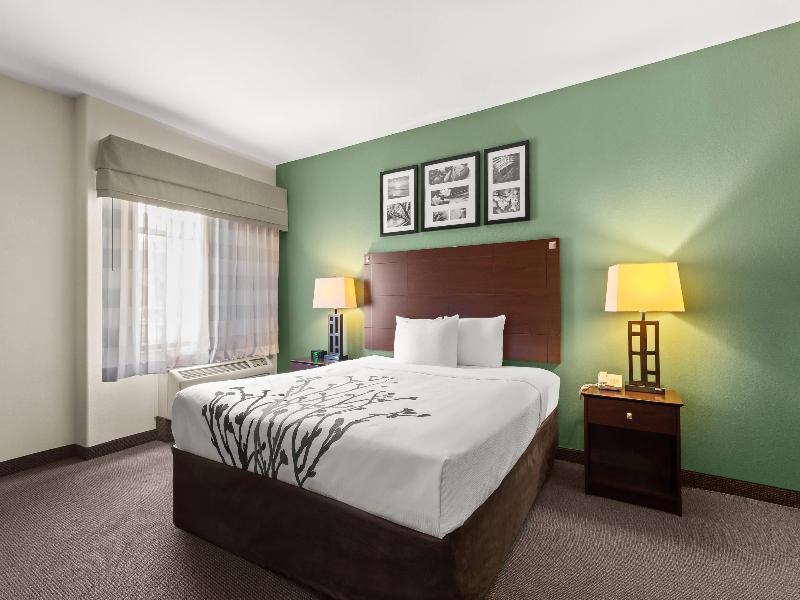 Sleep Inn&Suites Bush Intercontinental - Iah East image