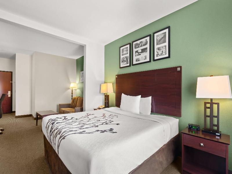Sleep Inn&Suites Bush Intercontinental - Iah East image