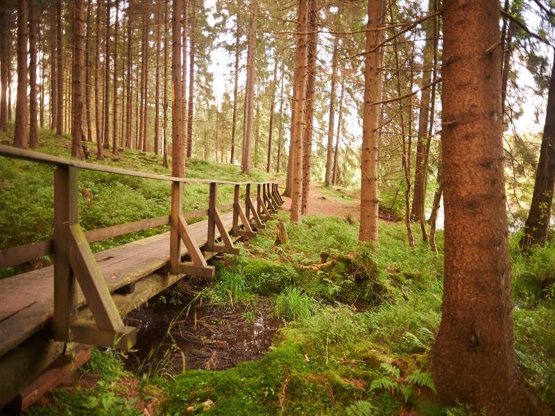 Naturkost-Hotel Harz image