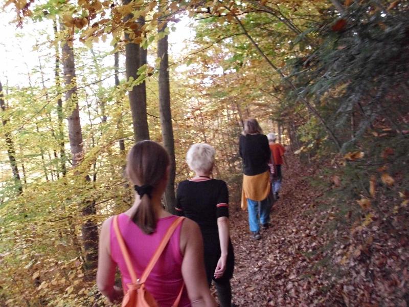 Naturkost-Hotel Harz image