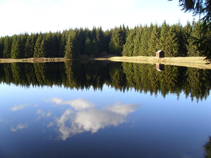 Naturkost-Hotel Harz image