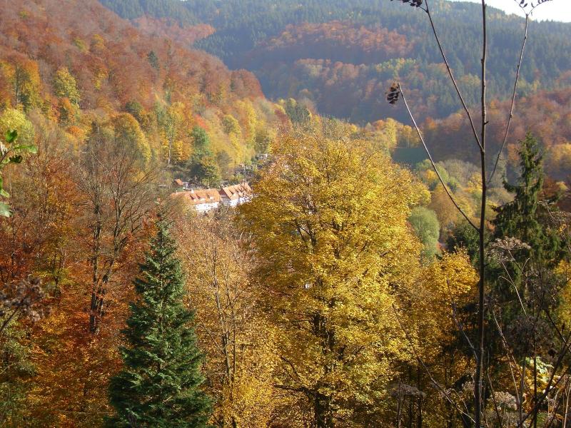 Naturkost-Hotel Harz image