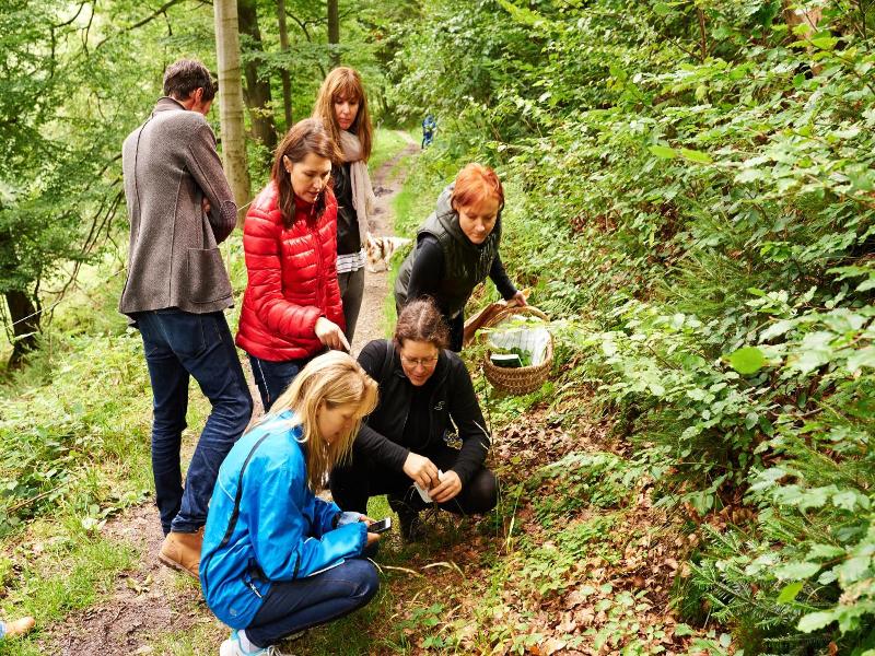 Naturkost-Hotel Harz image