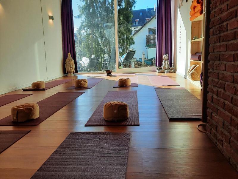 Naturkost-Hotel Harz image