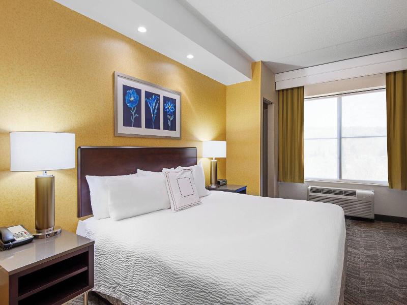 Springhill Suites Wheeling Triadelphia Area image