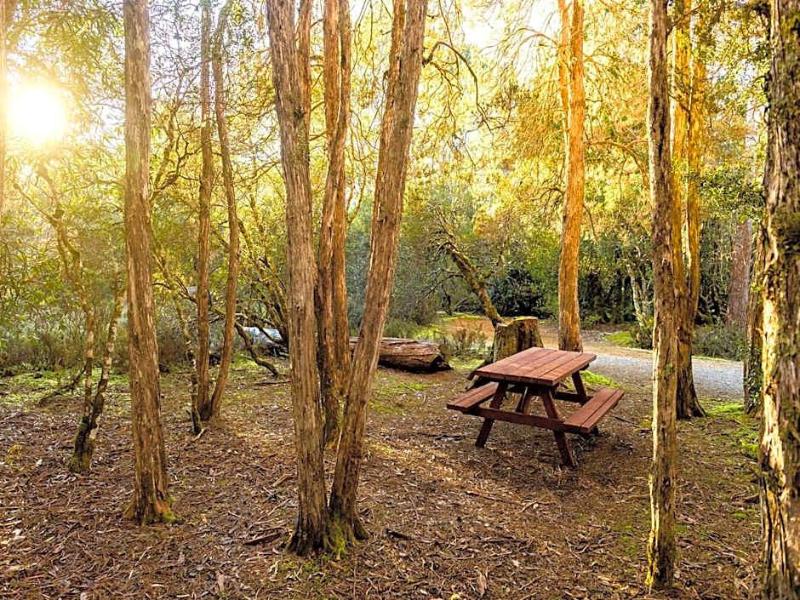 Discovery Parks - Cradle Mountain image