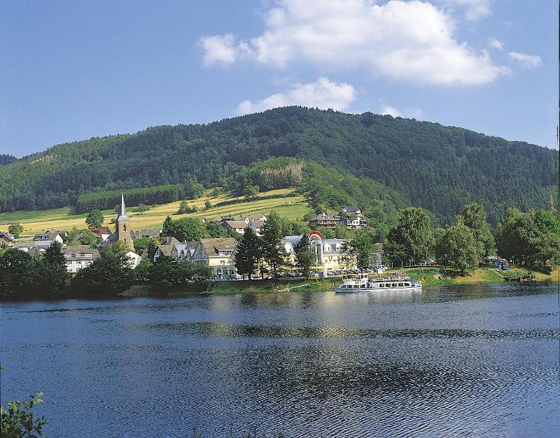 Seemöwe image