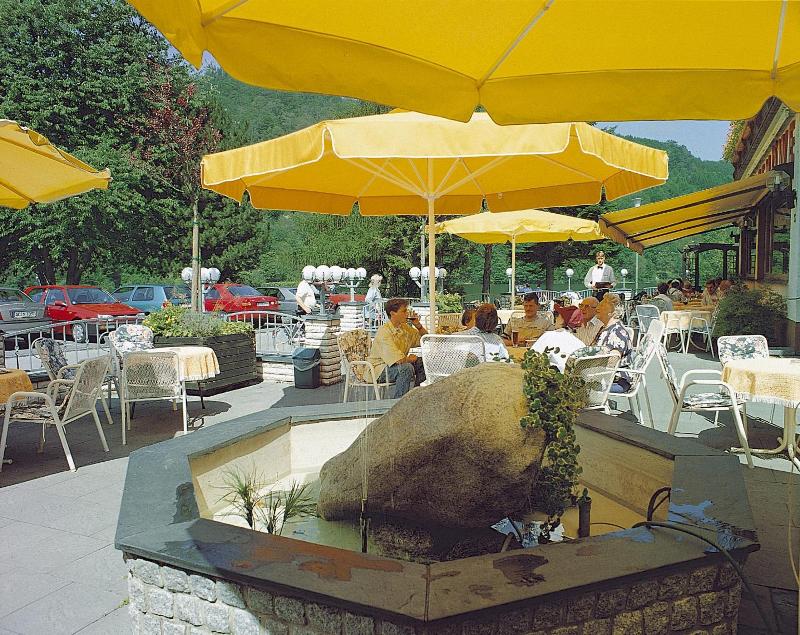 Seemöwe image
