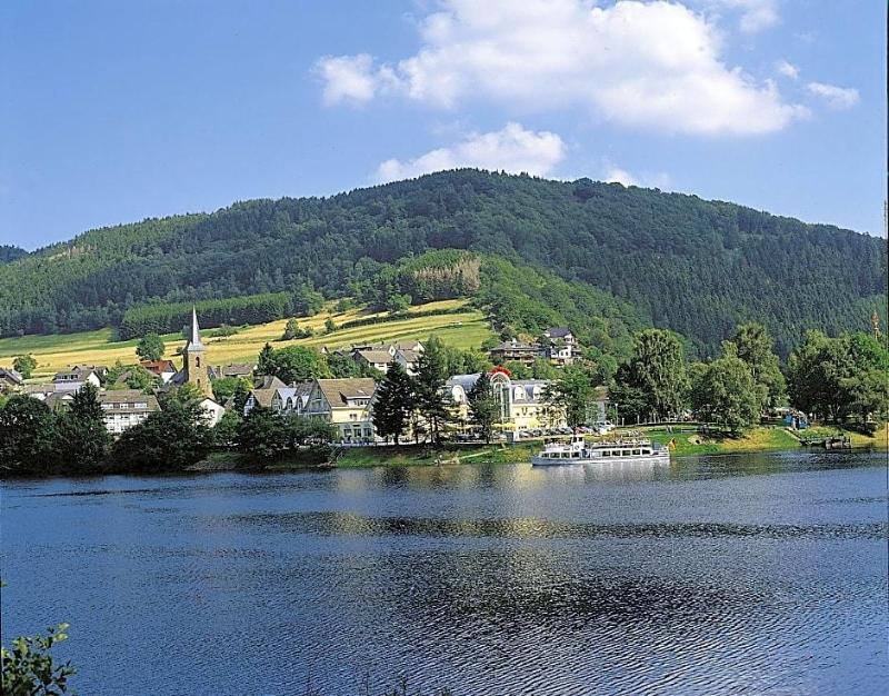 Seemöwe image