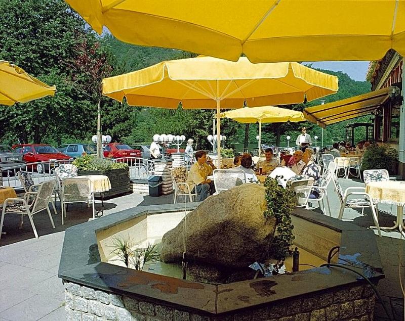 Seemöwe image
