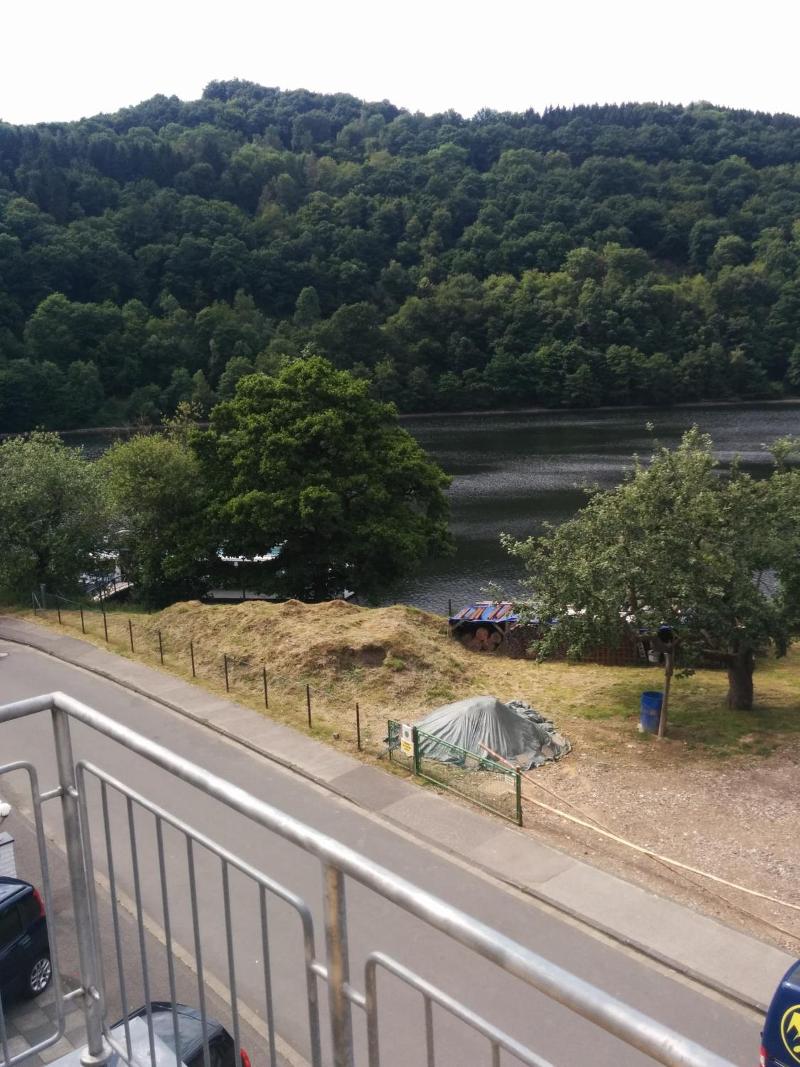 Seemöwe image