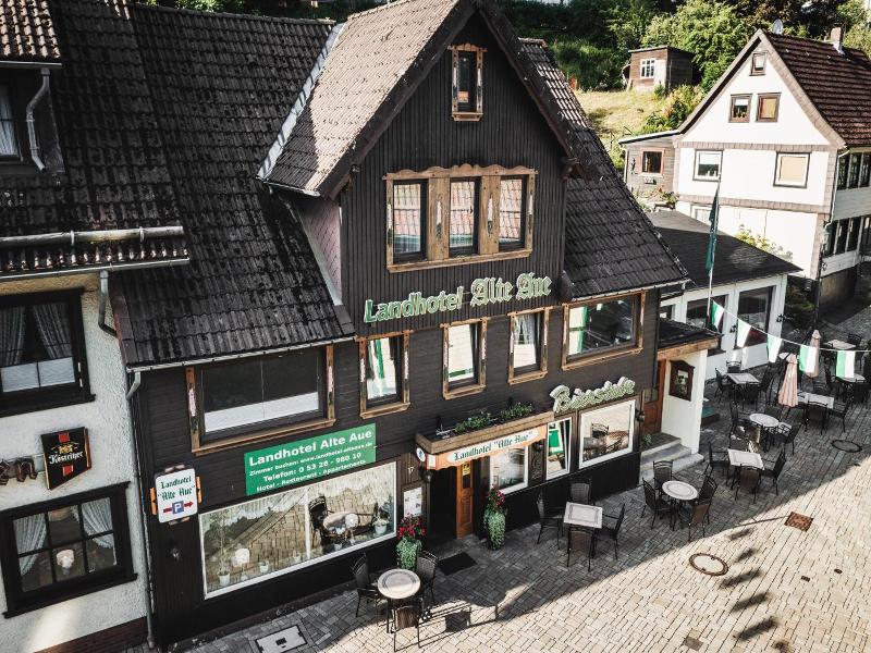 Landhotel Alte Aue image