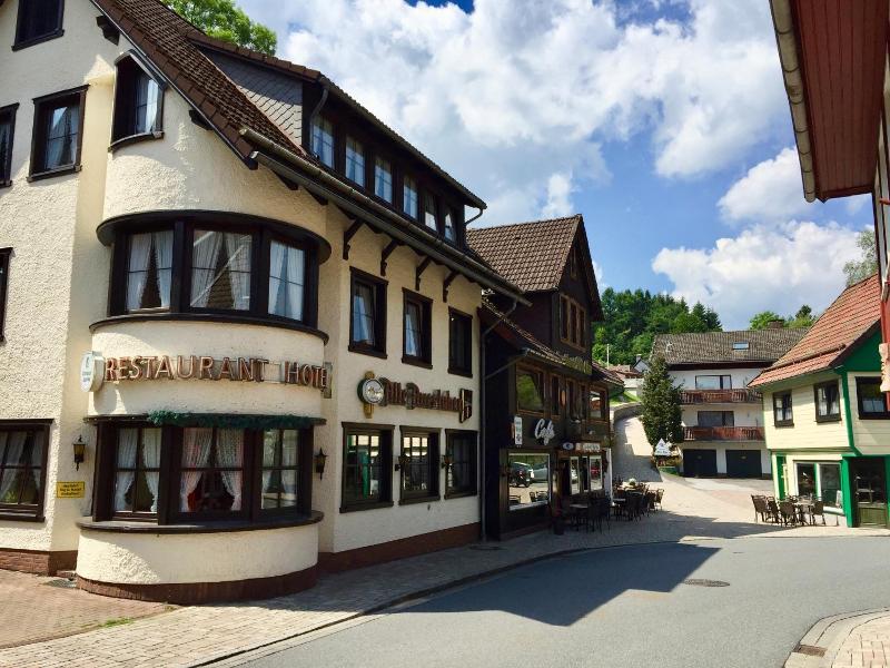 Landhotel Alte Aue image