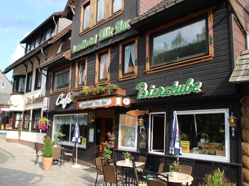 Landhotel Alte Aue image
