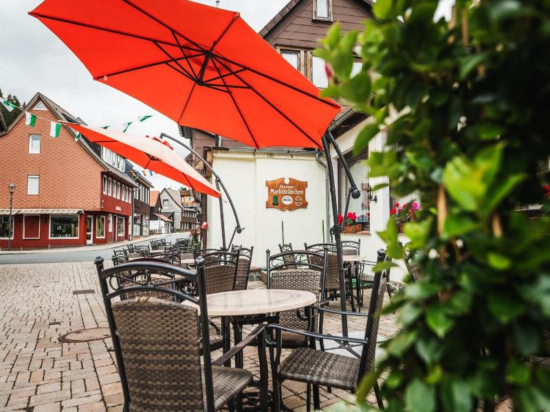 Landhotel Alte Aue image