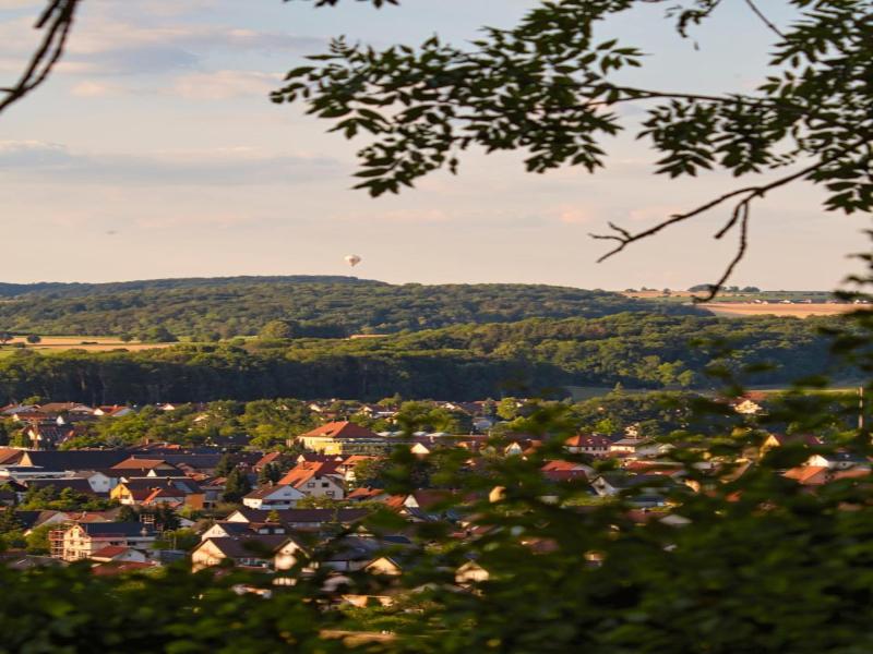 Neckarblick image