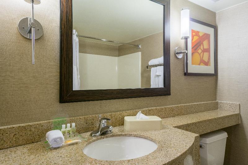 Holiday Inn Harrisburg (Hershey Area) I-81 photo 22