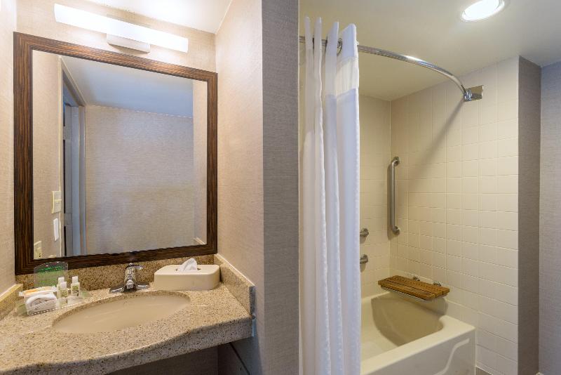 Holiday Inn Harrisburg (Hershey Area) I-81 photo 17