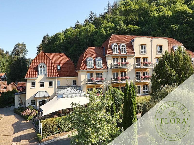 Parkhotel Flora image