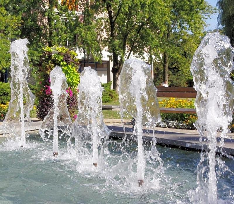 Fodor Hotel és Halászcsárda image
